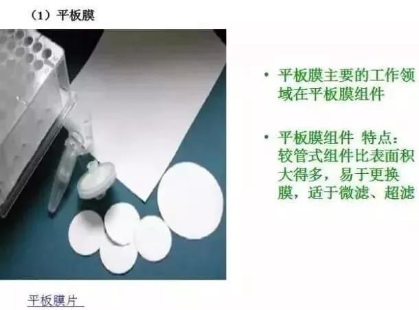 1550720498779322 (1).jpg