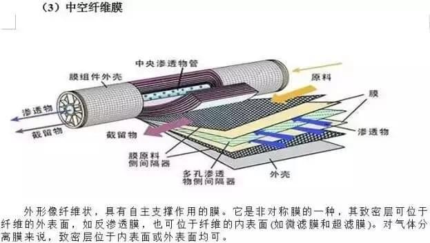 1550720536427946 (1).jpg